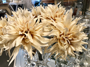 Dahlia Cafe au Lait
