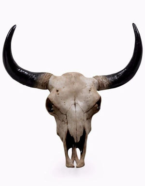 Large Bison Skull