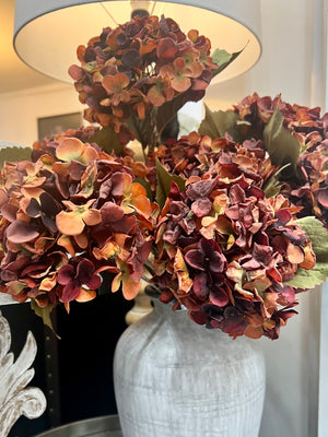 Tonal Orange Hydrangea