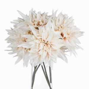 Dahlia Cafe au Lait