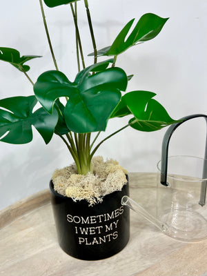 "Wet My Plants" Planter