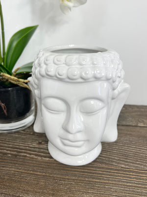 Buddha Head Planter