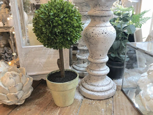 Round Potted Boxwood