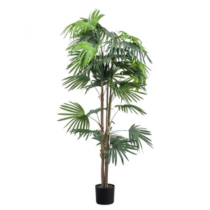 Large Faux Chinese Palm