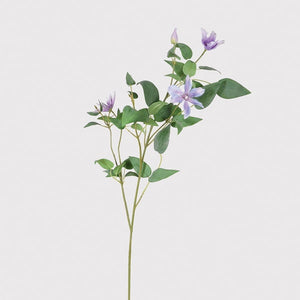 Tall Purple Clematis Spray
