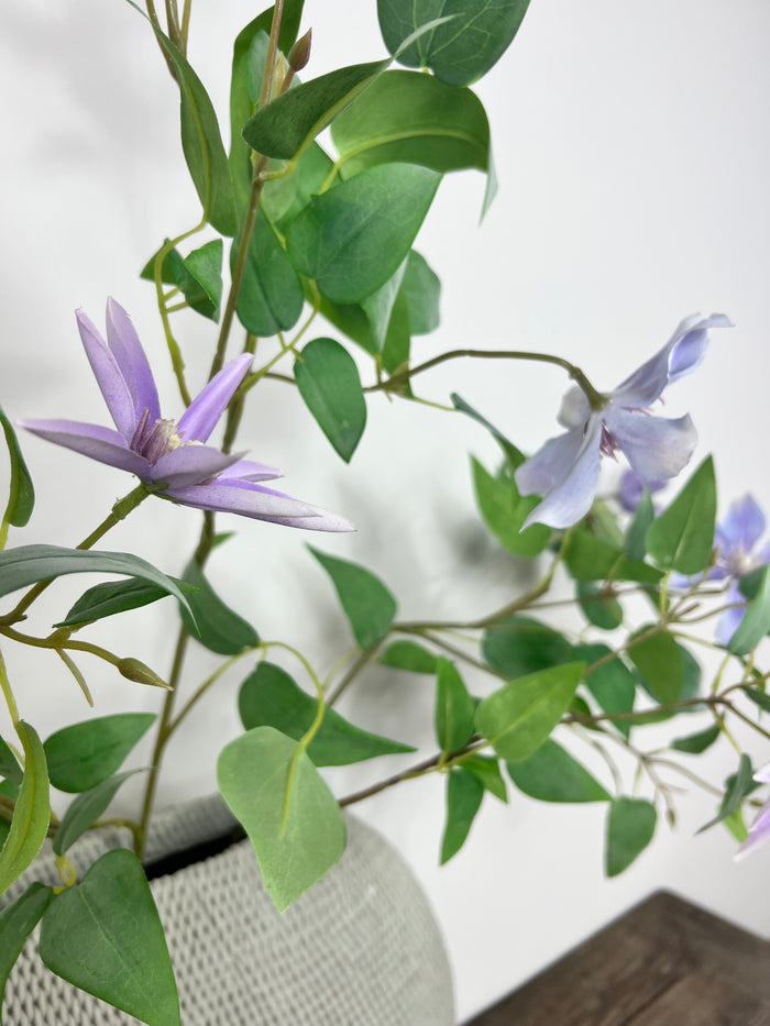 Tall Purple Clematis Spray