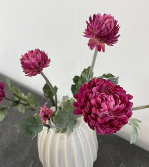 Snowball Chrysanthemum Stems - 3 Colours
