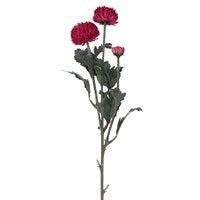 Snowball Chrysanthemum Stems - 3 Colours