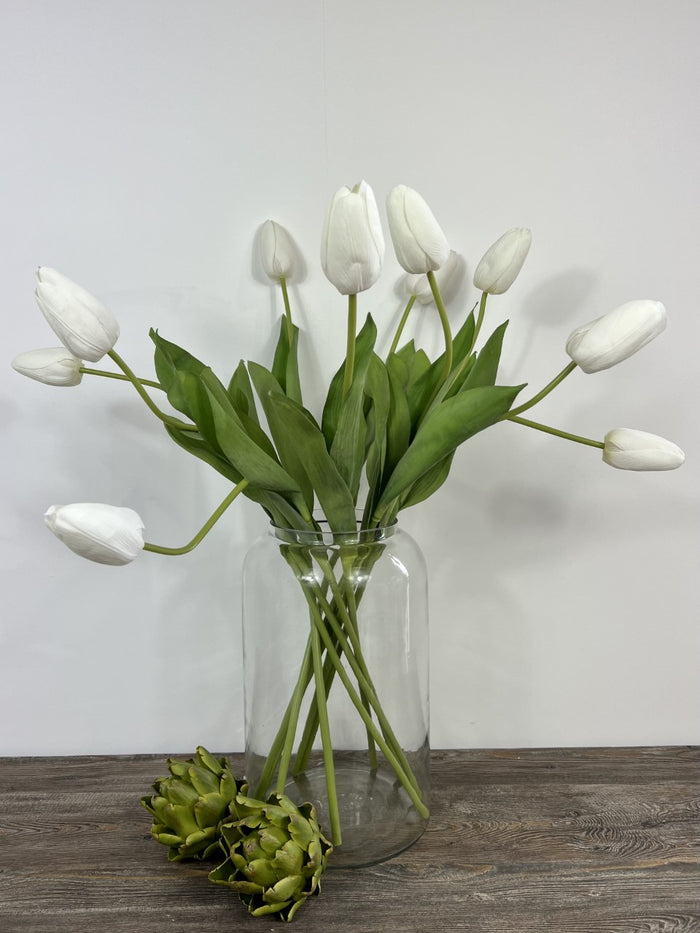 Aloe Apothecary Vase - 3 Sizes