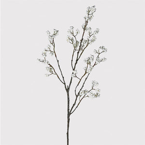 Bushy White Berry Branch