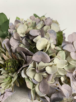 Lavender Grey Hydrangea