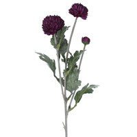 Snowball Chrysanthemum Stems - 3 Colours