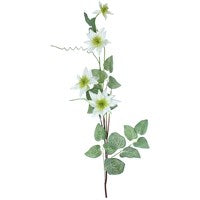 White Clematis Spray