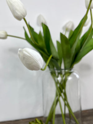 White Tulip Stem