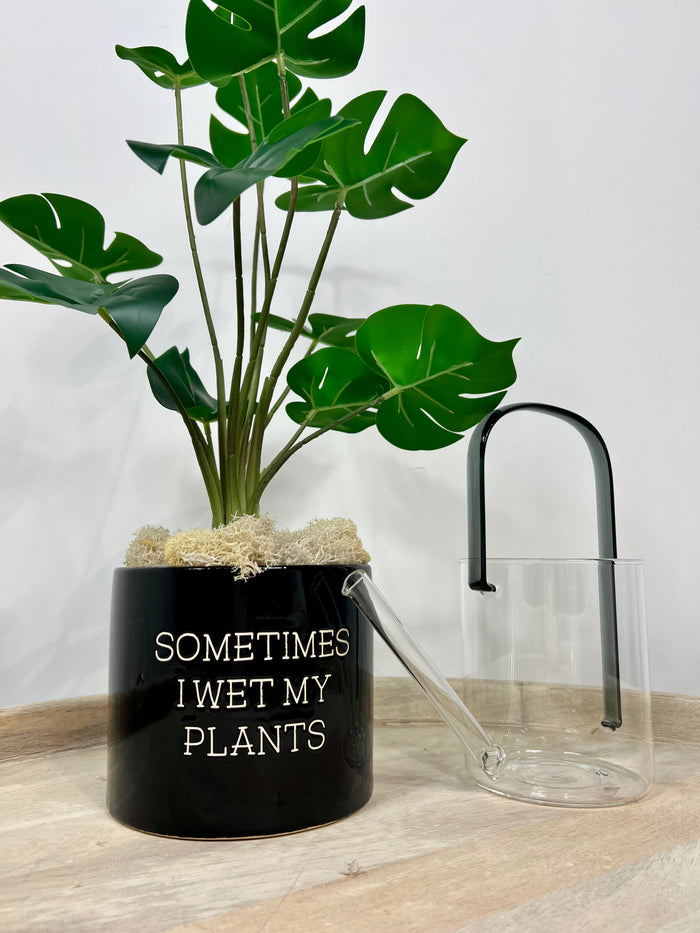 "Wet My Plants" Planter
