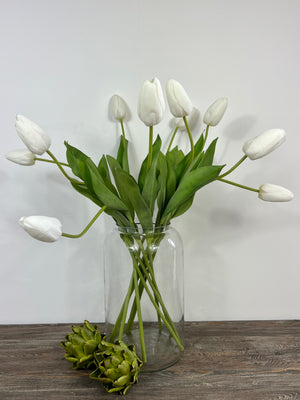 White Tulip Stem