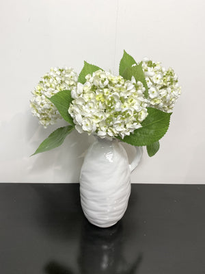White Lace Cap Hydrangea Stem