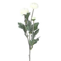 Snowball Chrysanthemum Stems - 3 Colours