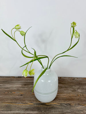 Dawson Vase - 2 Colours