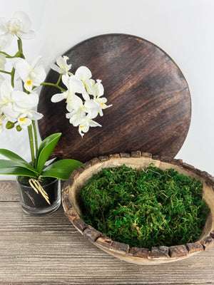 Alecia Bowl